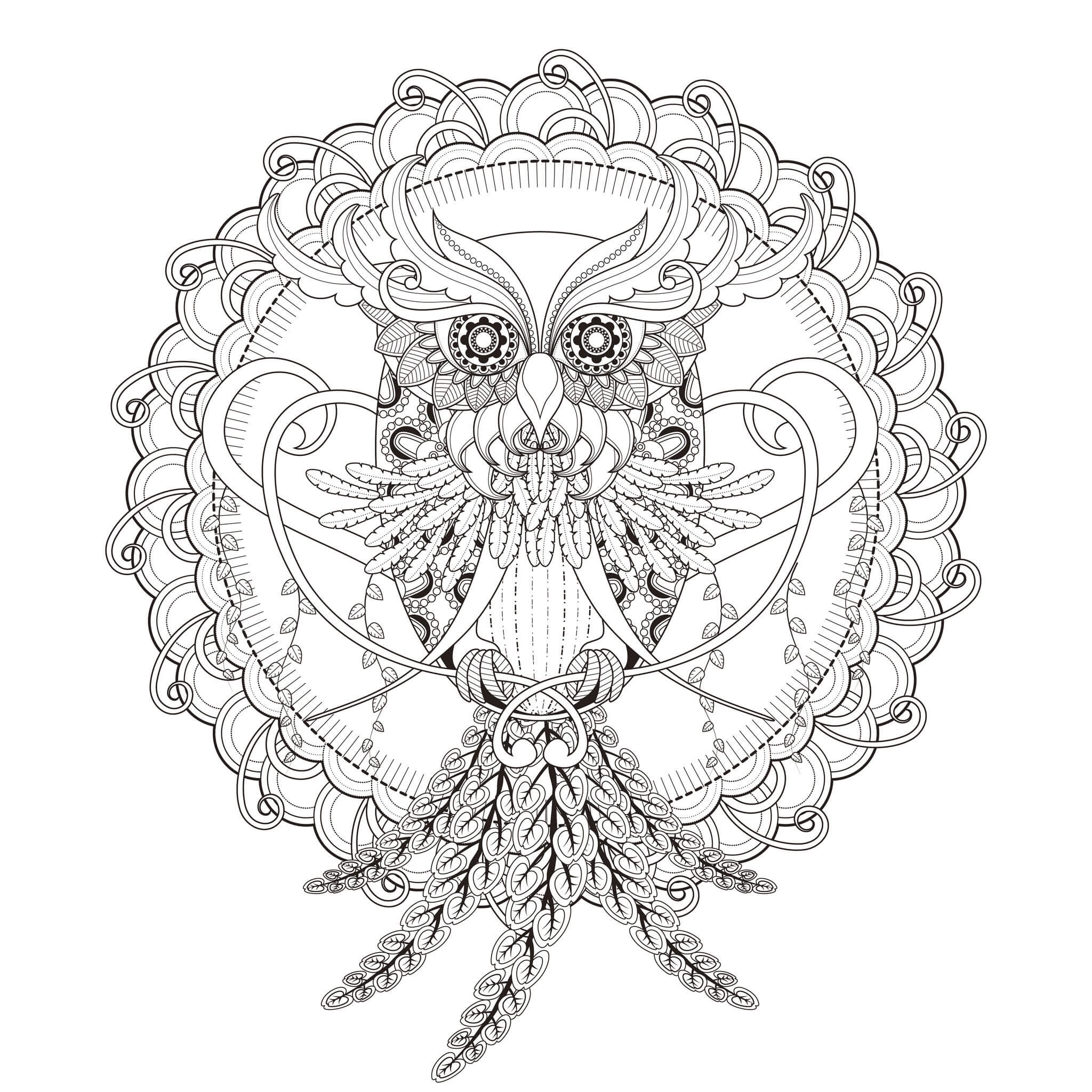 Mandala Beautiful Owl Coloring Page Mandalas