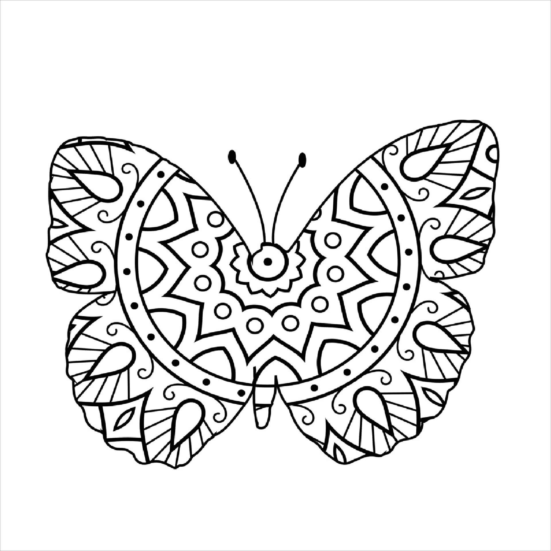 Mandala Butterfly Coloring Page - Sheet 10 Mandalas