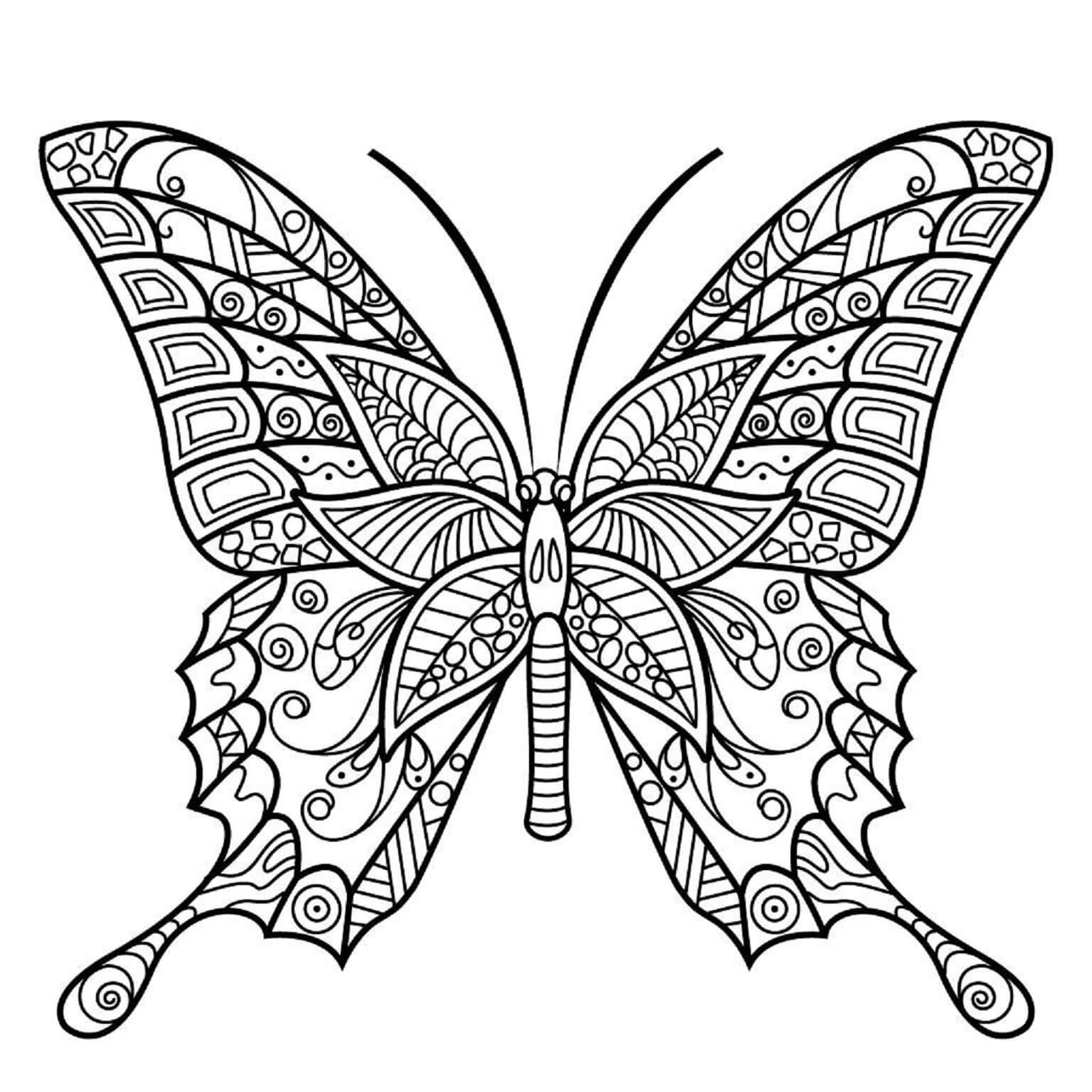 Mandala Butterfly Coloring Page - Sheet 6 Mandalas