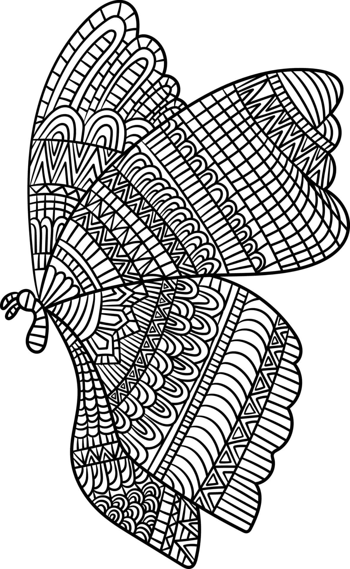 Mandala Butterfly Coloring Page - Sheet 7 Mandalas