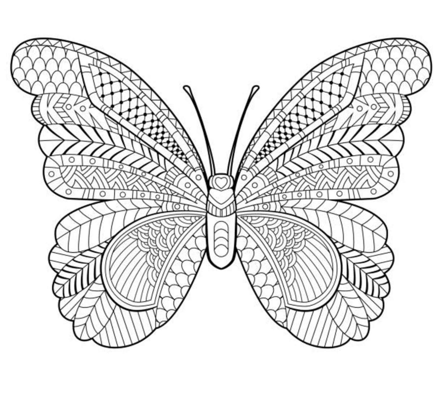 Mandala Butterfly Coloring Page - Sheet 8 Mandalas