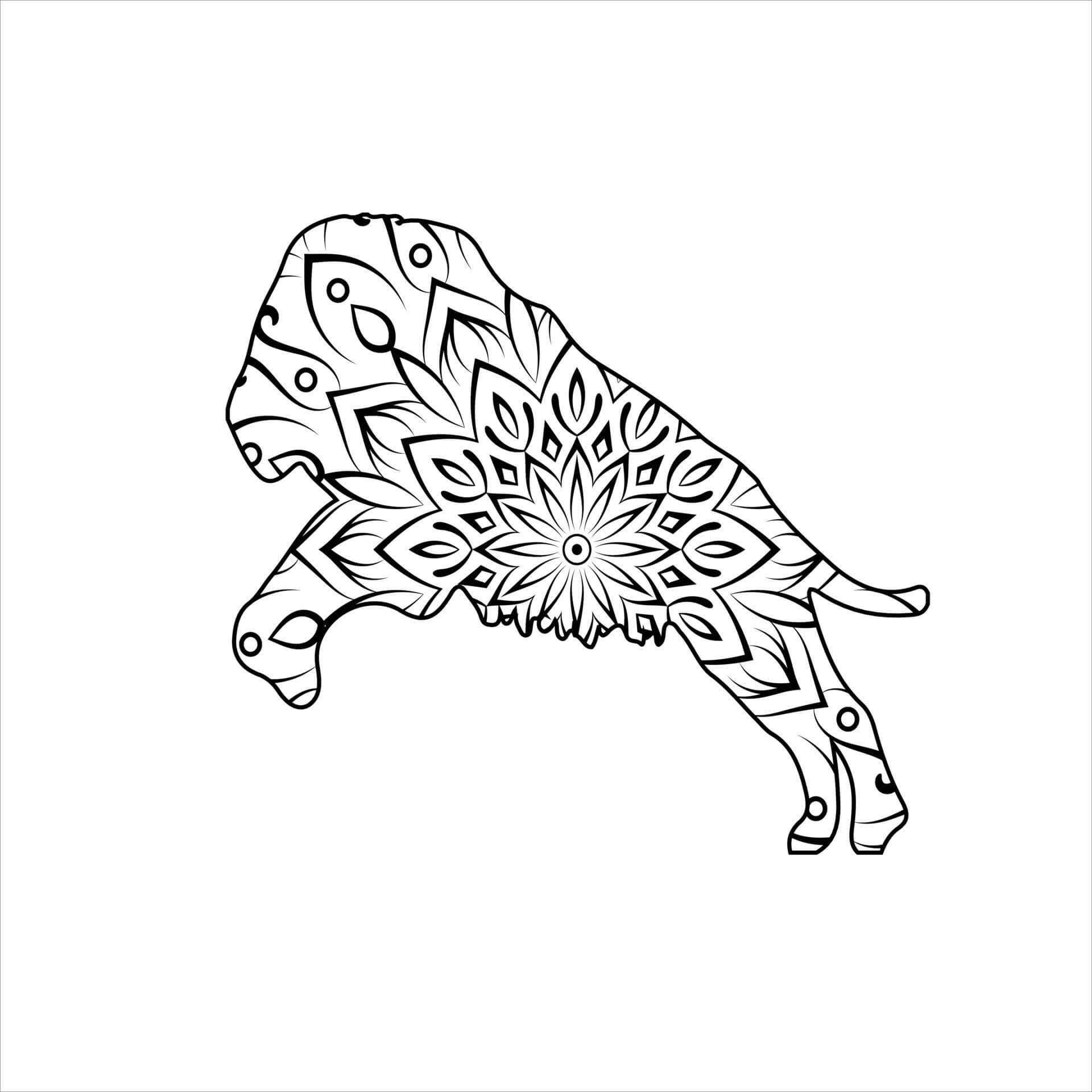 Mandala Cool Lion Jumping Coloring Page Mandalas