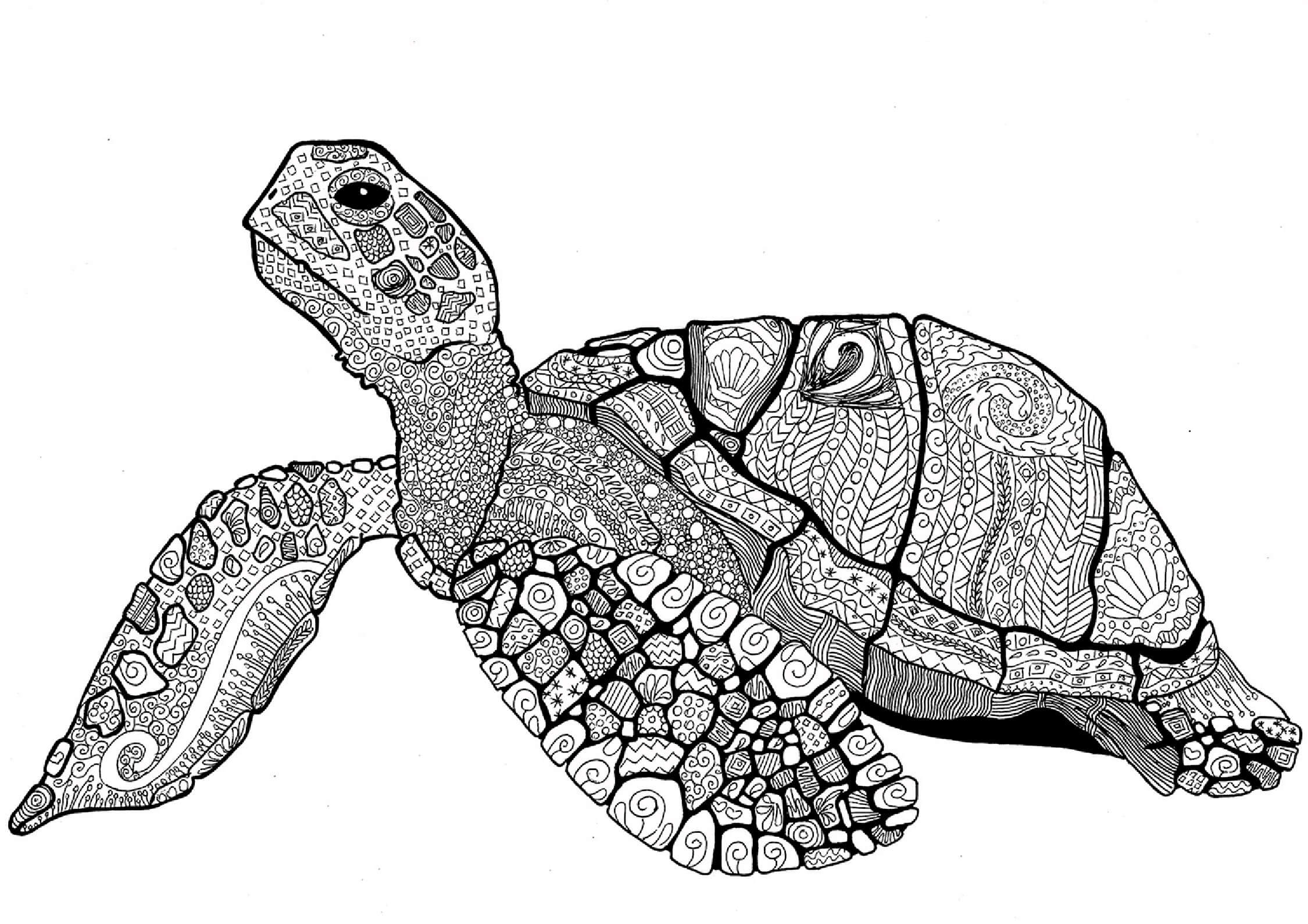 Mandala Cool Turtle Coloring Page Mandalas