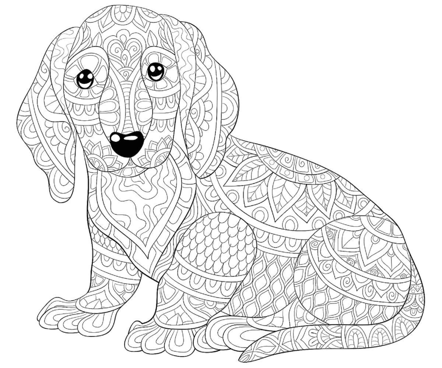 Mandala Cute Dog Coloring Page Mandalas