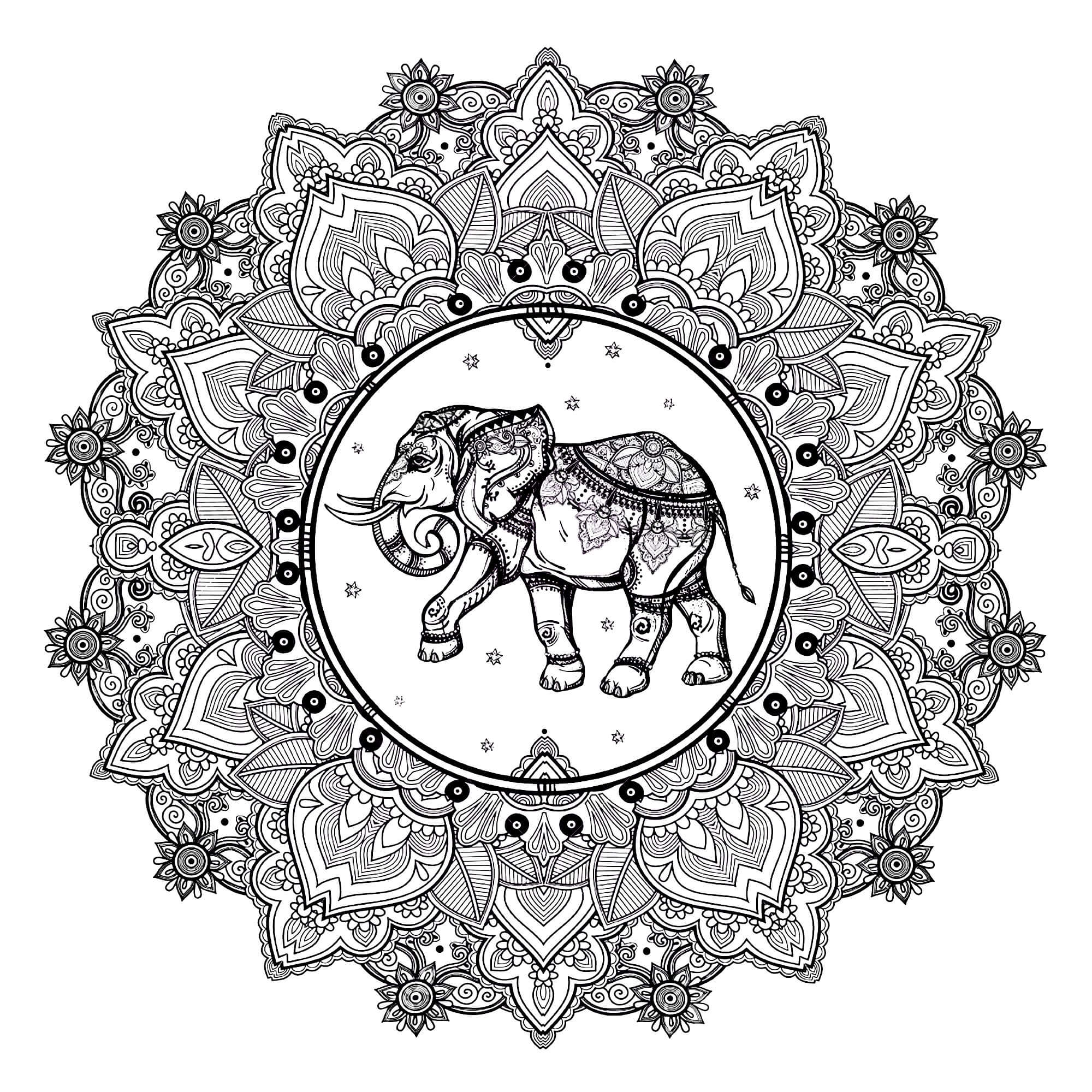 Mandala Elephant Coloring Page - Sheet 7 Mandalas