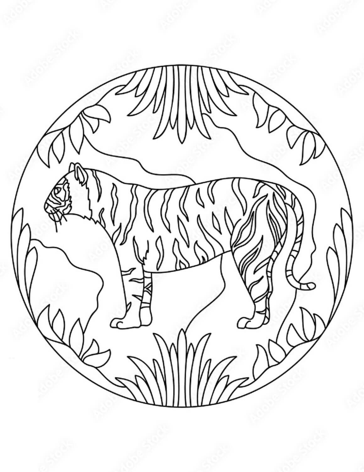 Mandala Tiger Coloring Page – Sheet 7 Mandalas