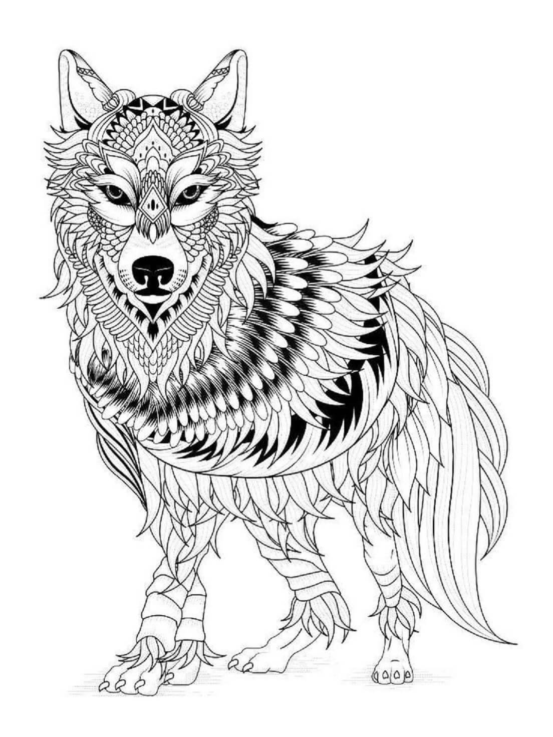 Mandala Wolf Coloring Page – Sheet 8 Mandala