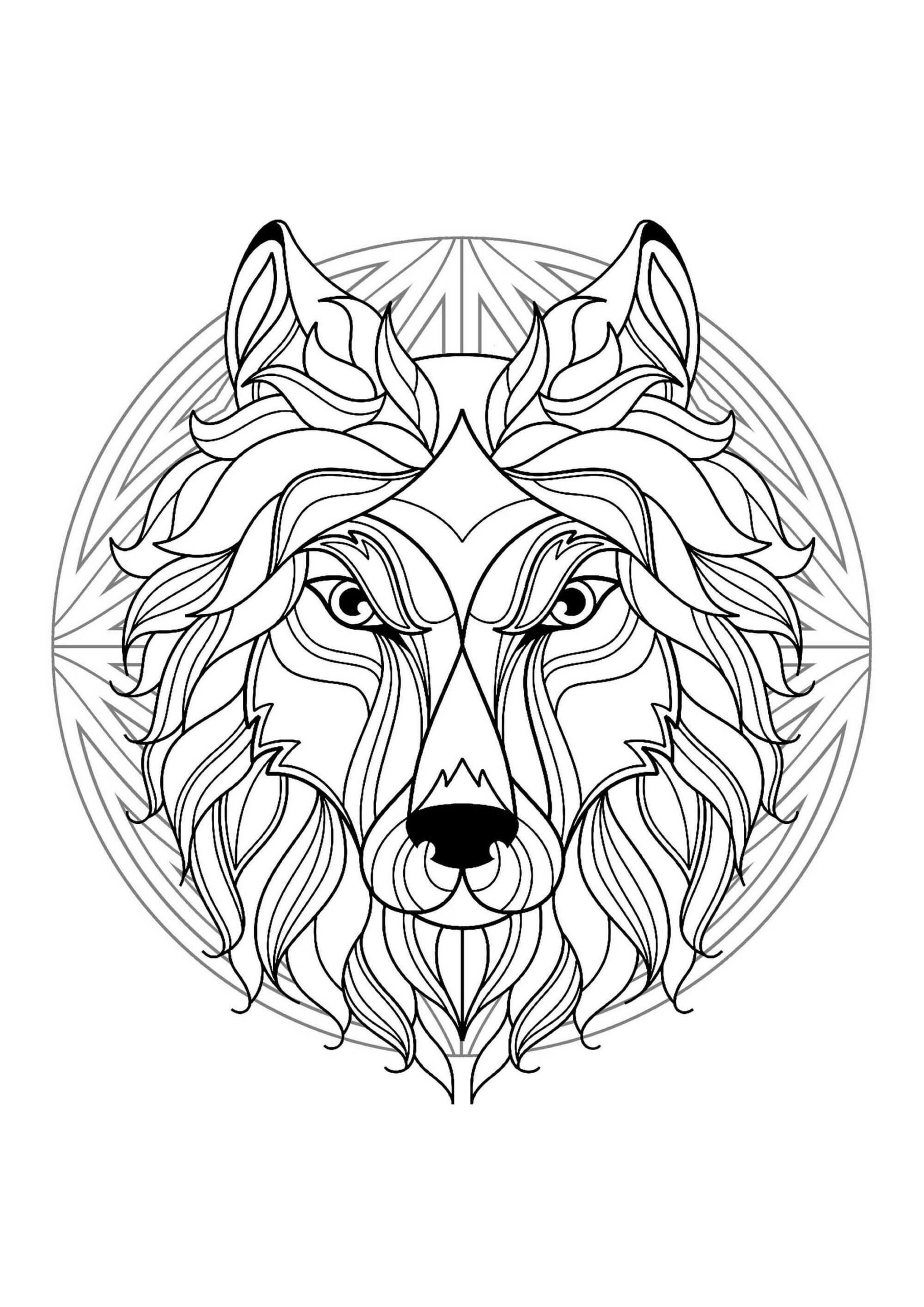 Mandala Wolf Head Coloring Page Mandala