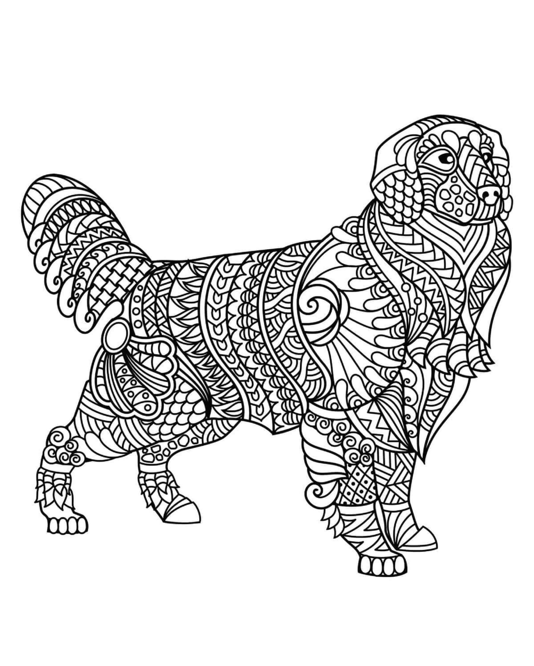 Coloriage Mandala: Chien beau Mandala