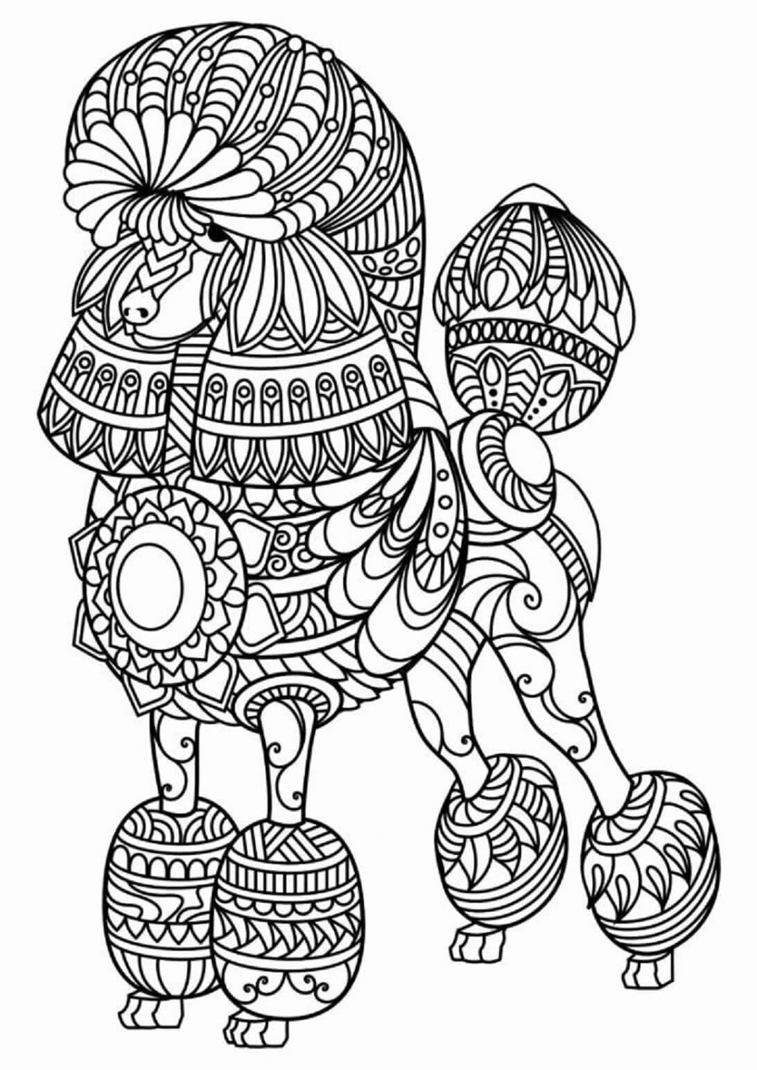 Coloriage Mandala: Chien feuille 16 Mandala