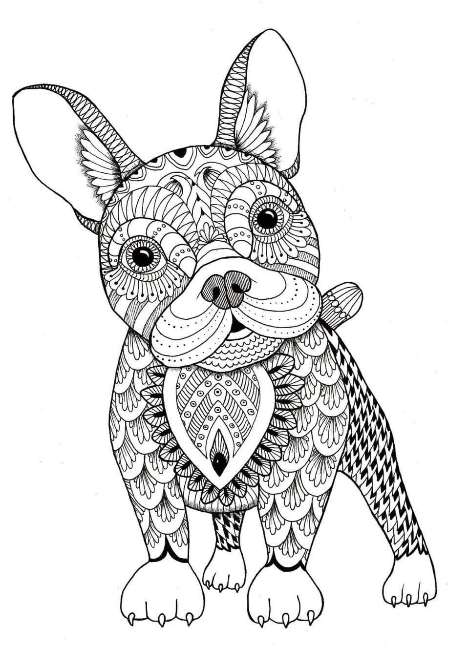 Coloriage Mandala: Drôle de bouledogue Mandala