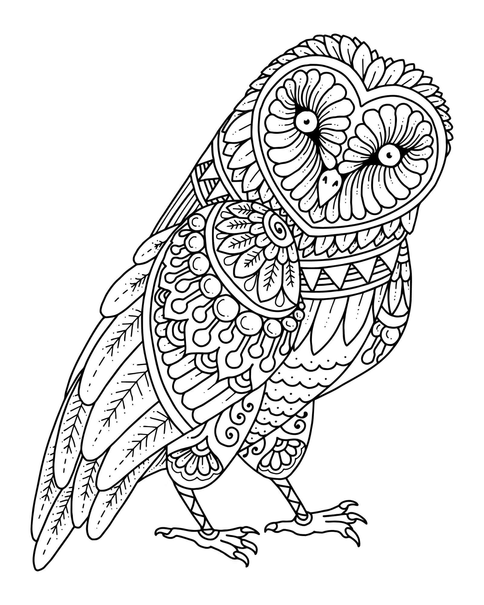Coloriage Mandala: Hibou Drôle Mandalas