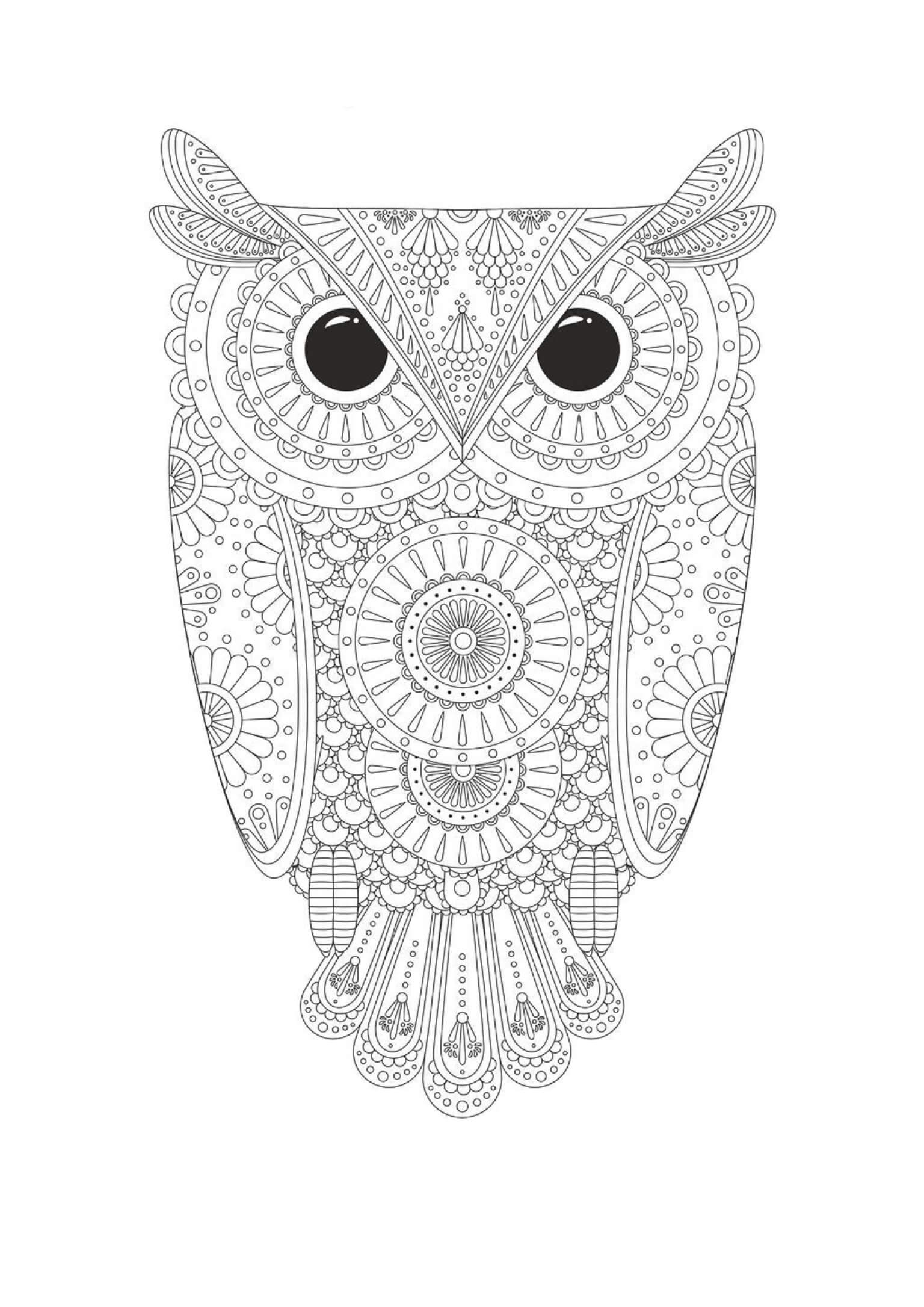 Coloriage Mandala: Hibou Feuille 8 Mandalas