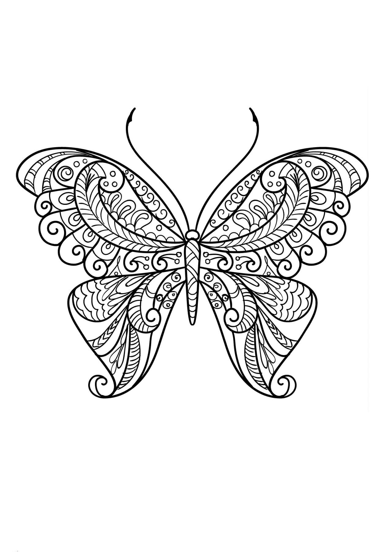 Coloriage Mandala Papillon Coloriage Mandala Papillon