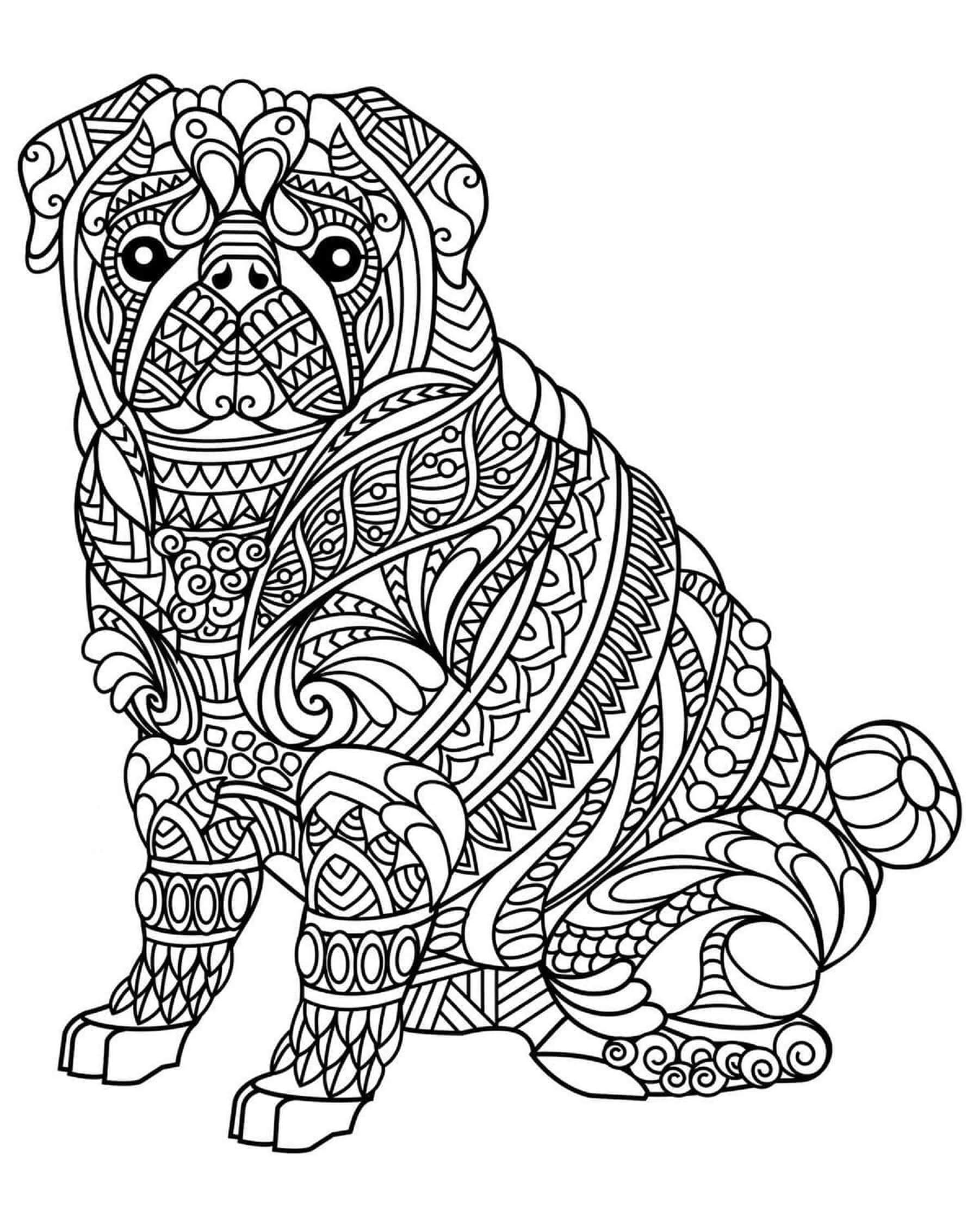 Coloriage Mandala: Le bouledogue est assis Mandala