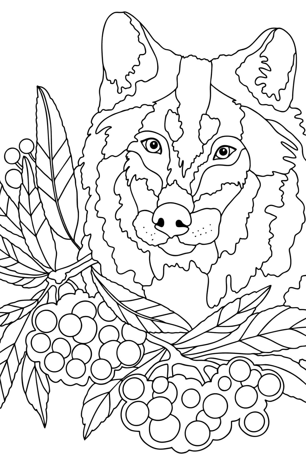 Coloriage Mandala: Loup Feuille 9 Mandala