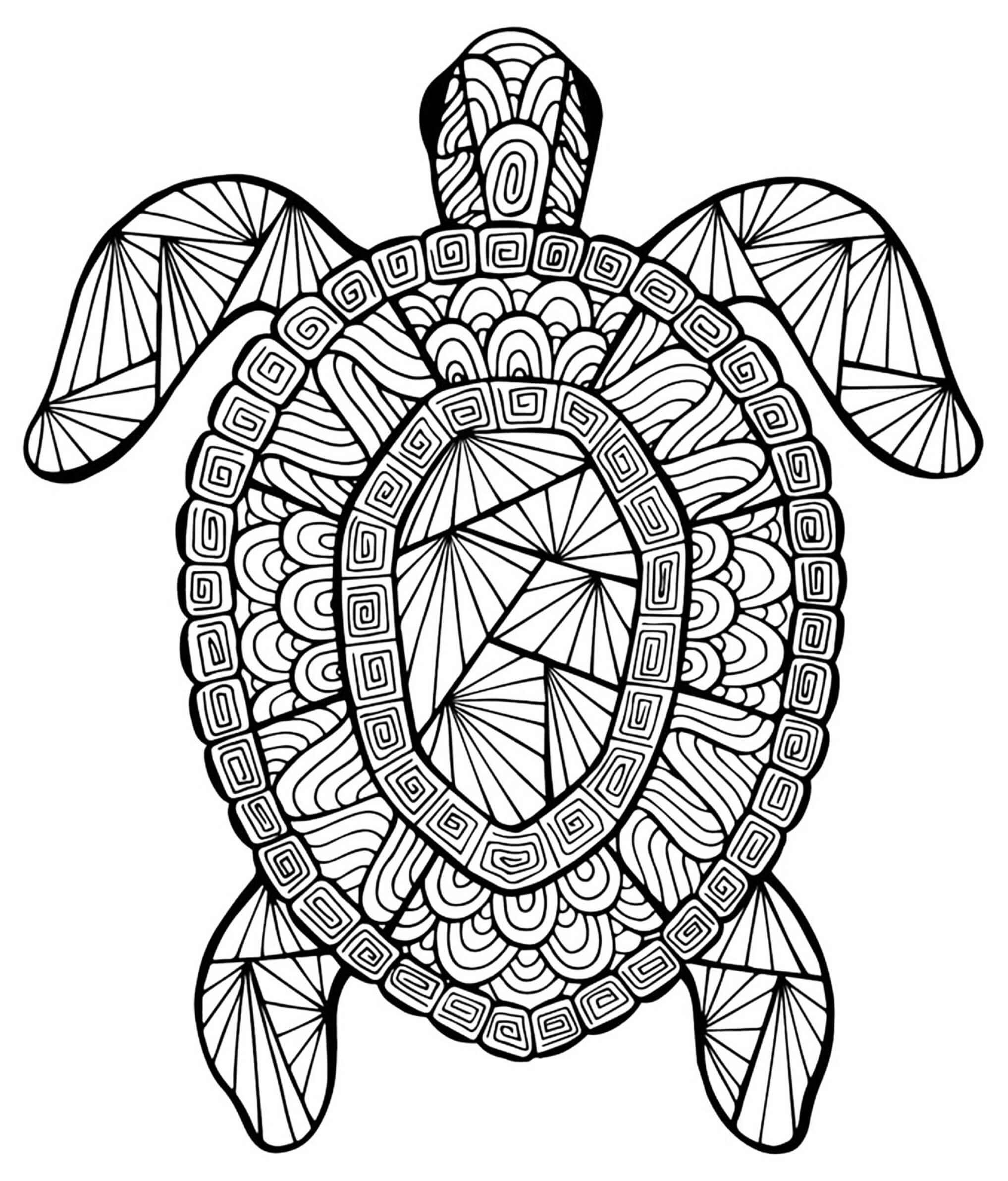 Coloriage Mandala: Tortue Feuille 3 Mandalas