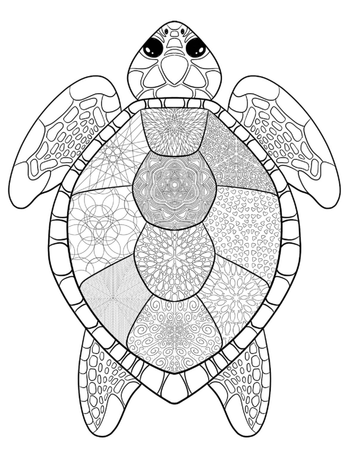 Coloriage Mandala: Tortue mignonne Mandalas