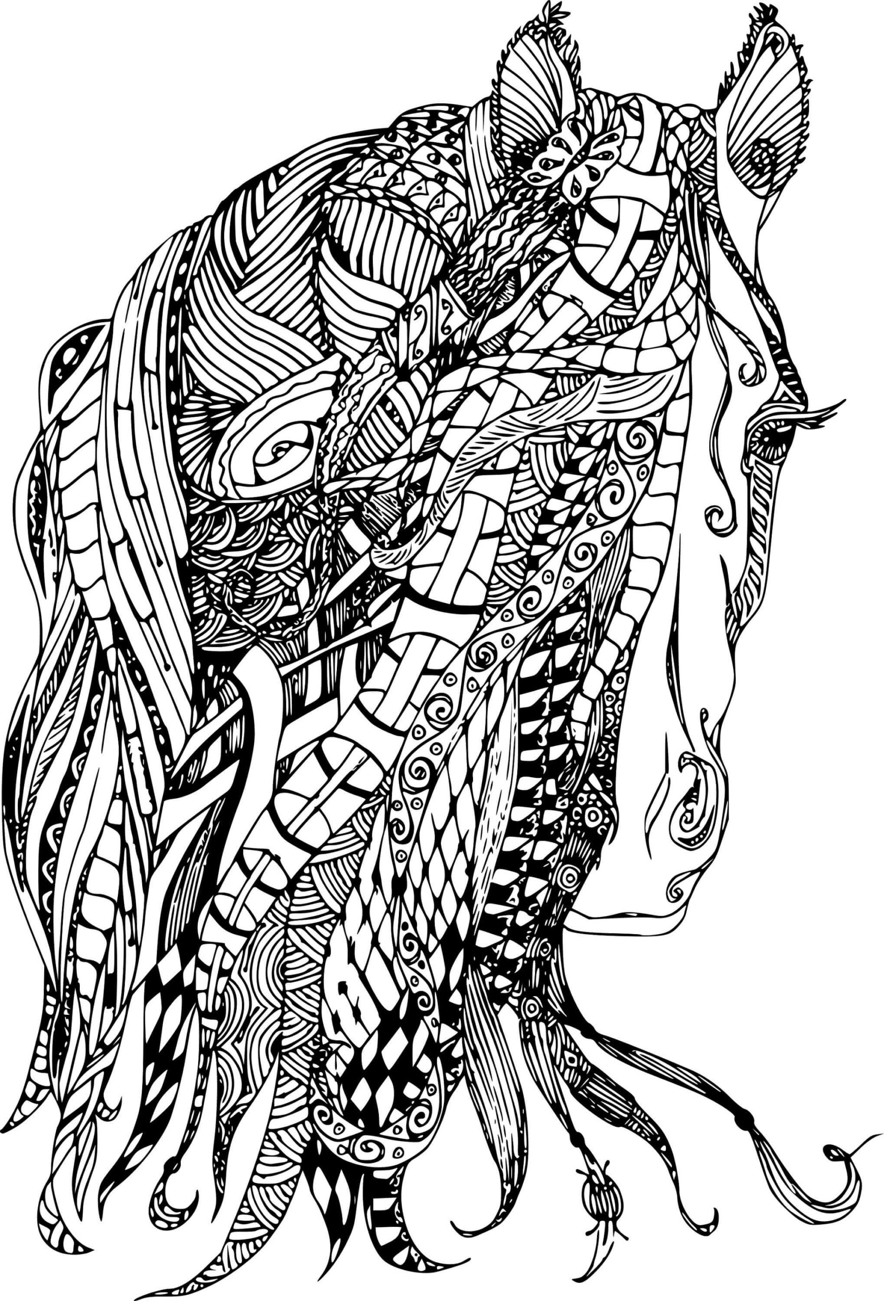 Coloriage Mandala: Visage de cheval Mandalas