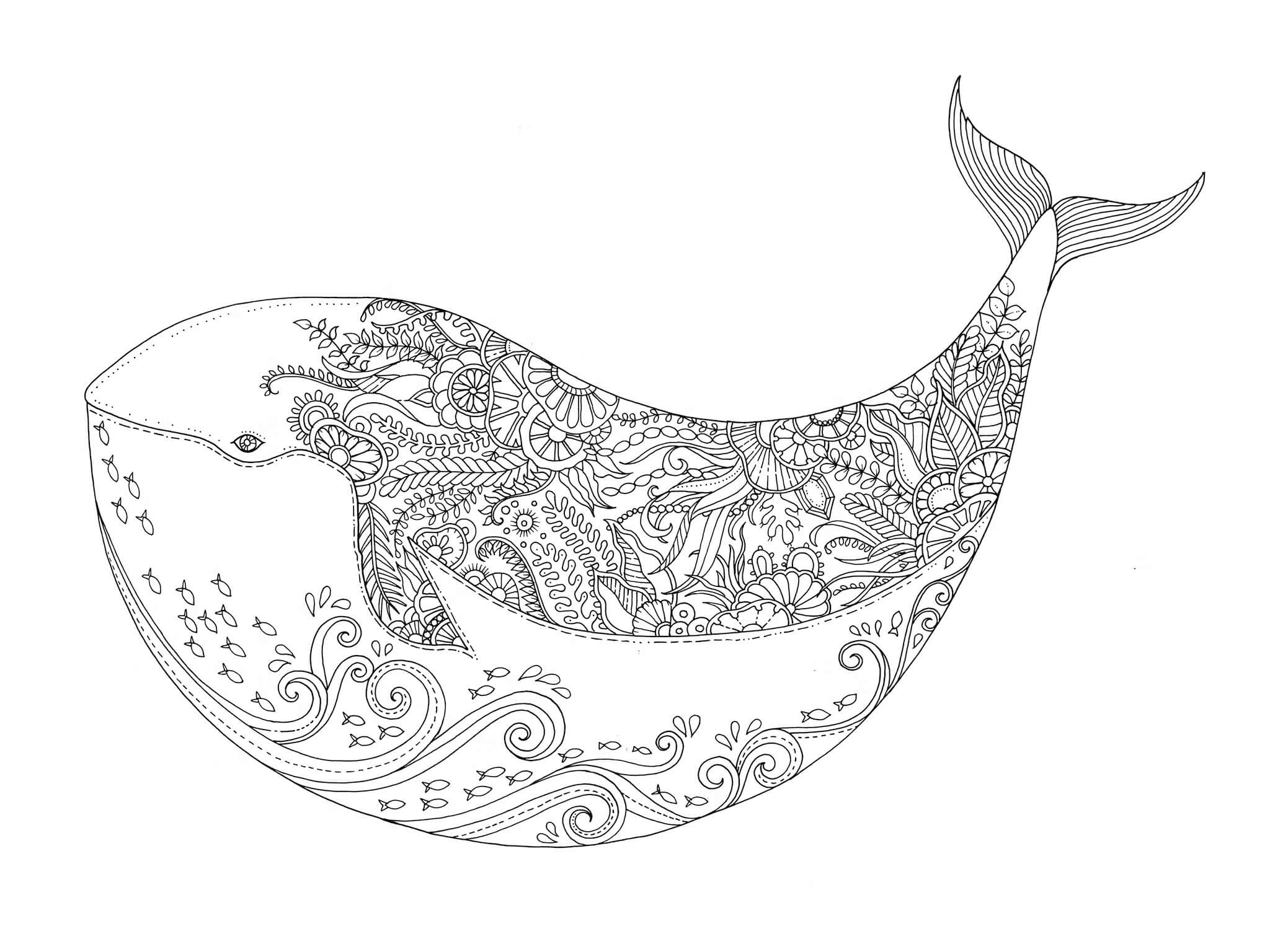 Mandala Beautiful Whale Coloring Page Mandalas