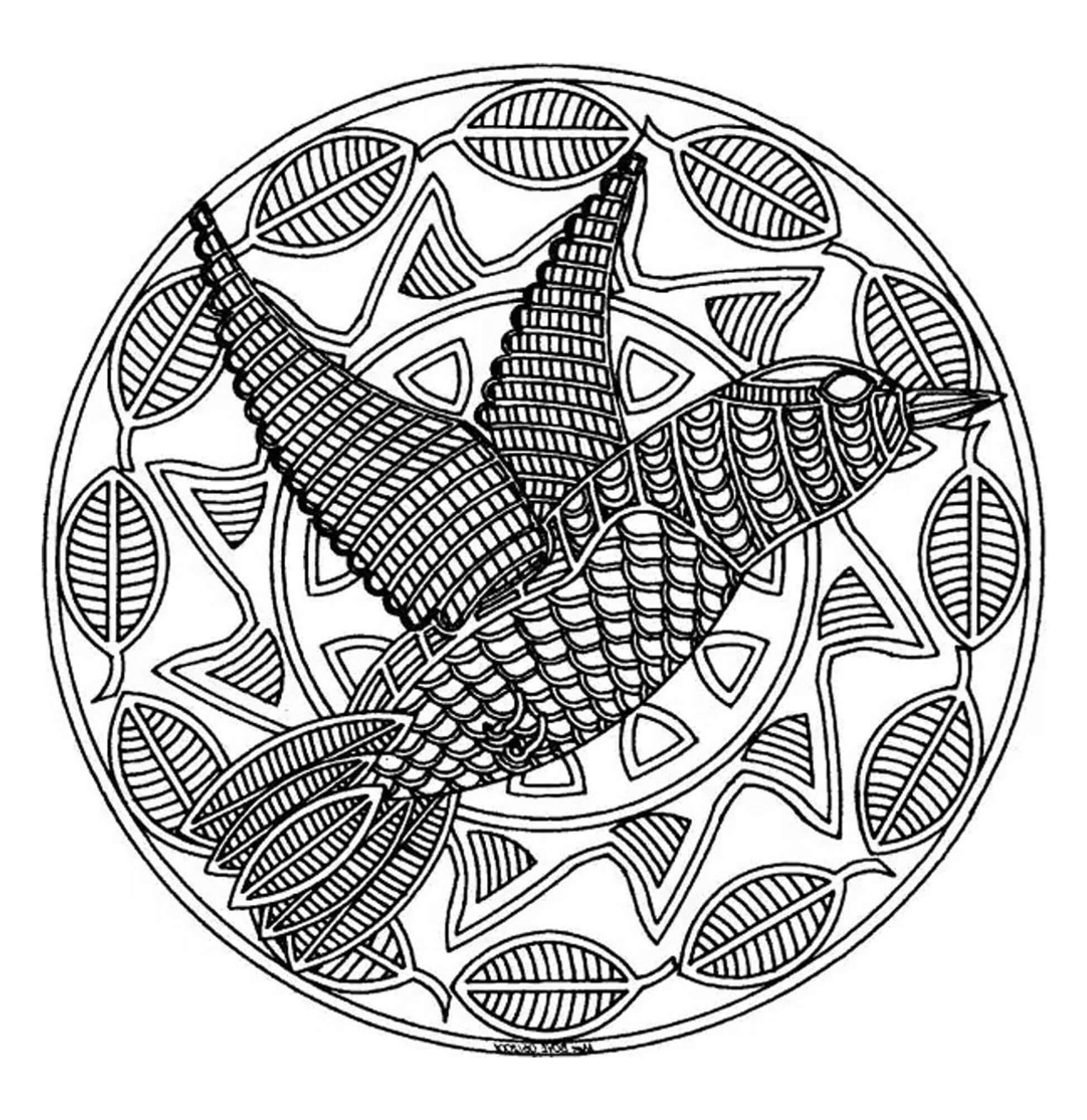 Mandala Bird Flying Coloring Page Mandalas