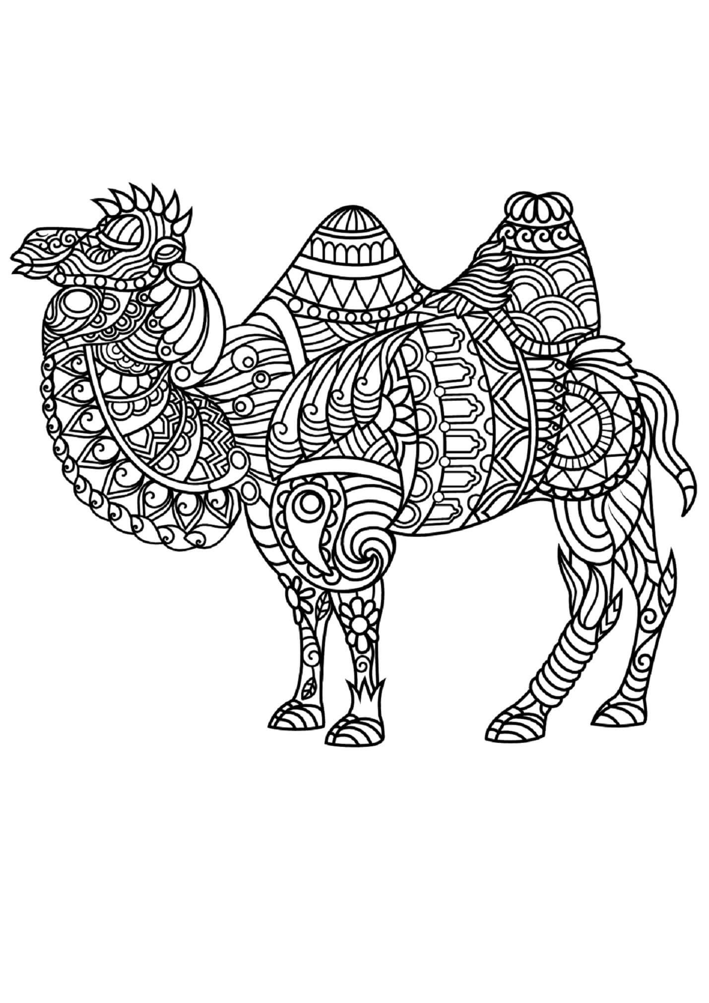 Mandala Camel Standing Coloring Page Mandalas