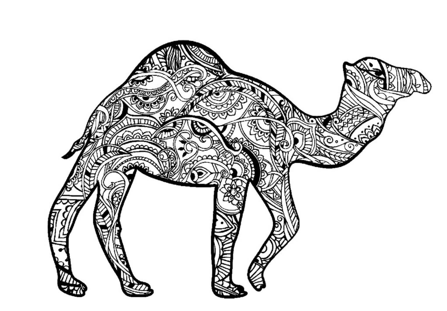 Mandala Camel Walking Coloring Page Mandalas