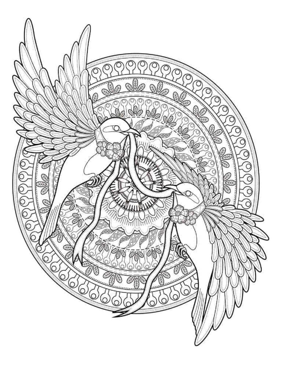 Mandala Couple Bird Coloring Page Mandalas