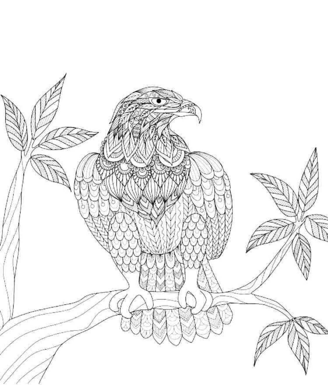 Mandala Eagle On Branch Tree Coloring Page Mandalas