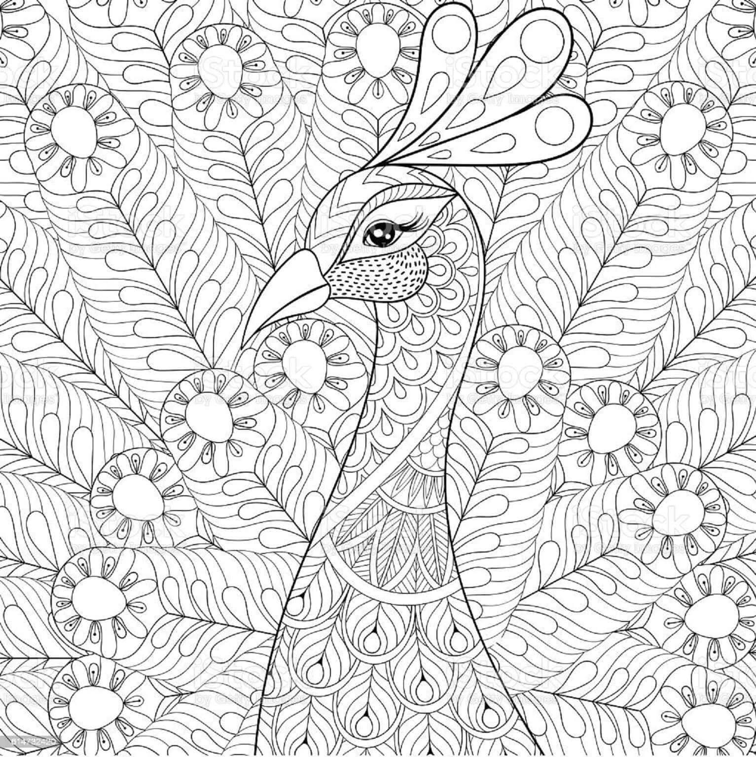 Mandala Peacock Coloring Page Mandalas