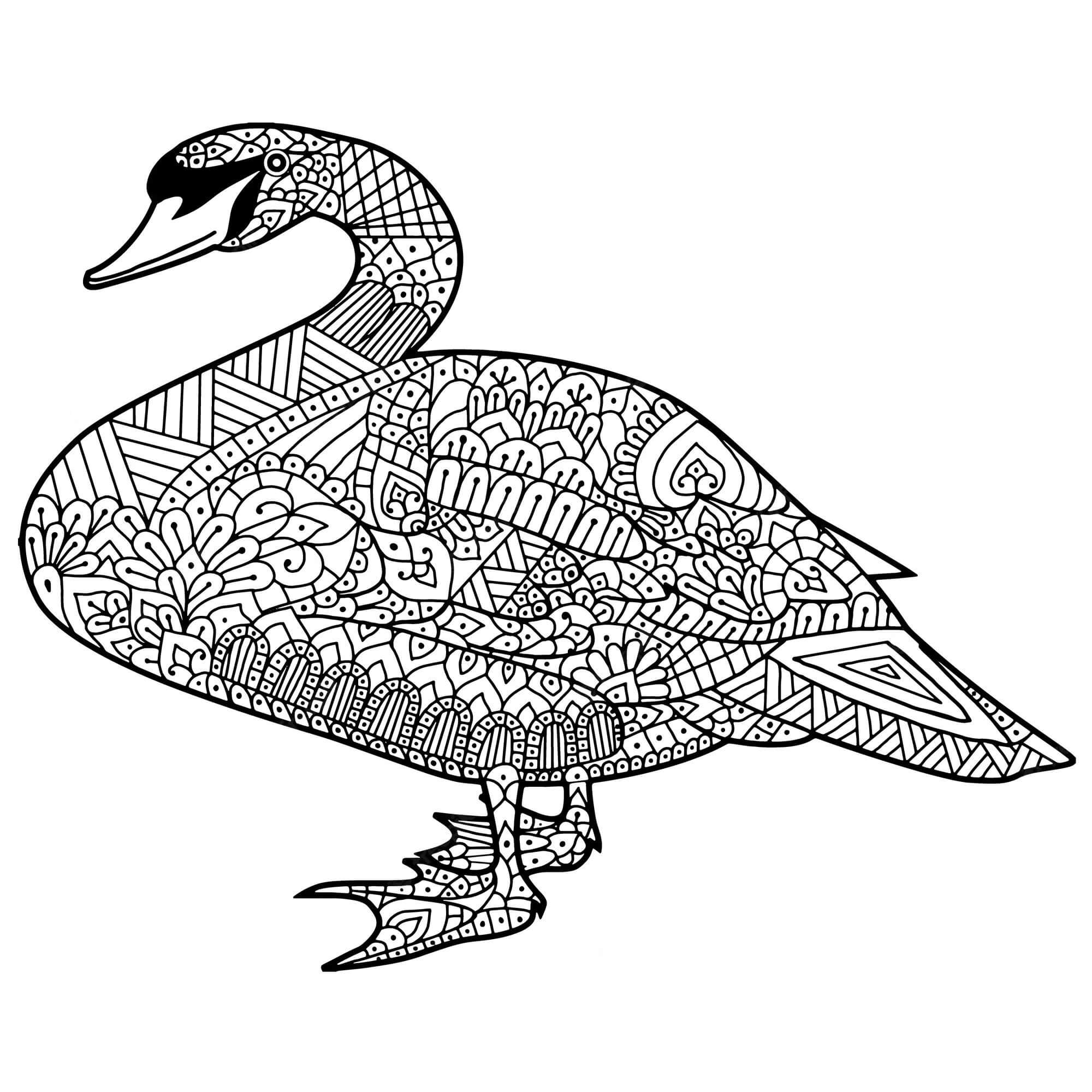 Mandala Swan Coloring Page - Sheet 5 Mandalas