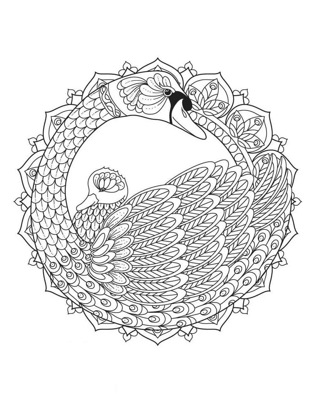 Mandala Two Swans Coloring Page Mandalas