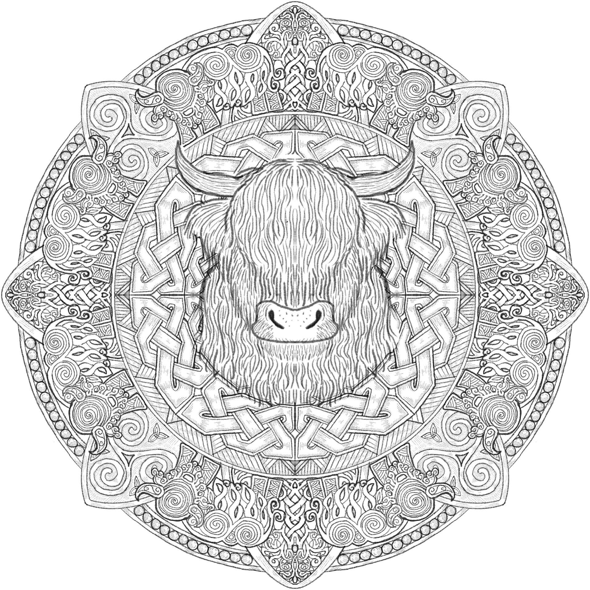 Coloriage Mandala: Belle vache Mandalas