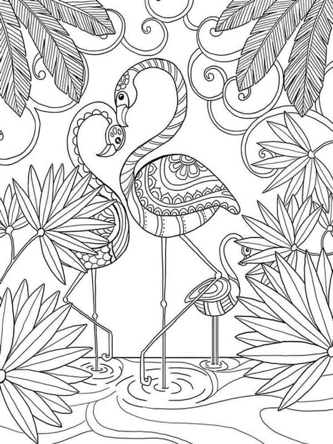 Coloriage Mandala: Couple de flamants roses Mandalas