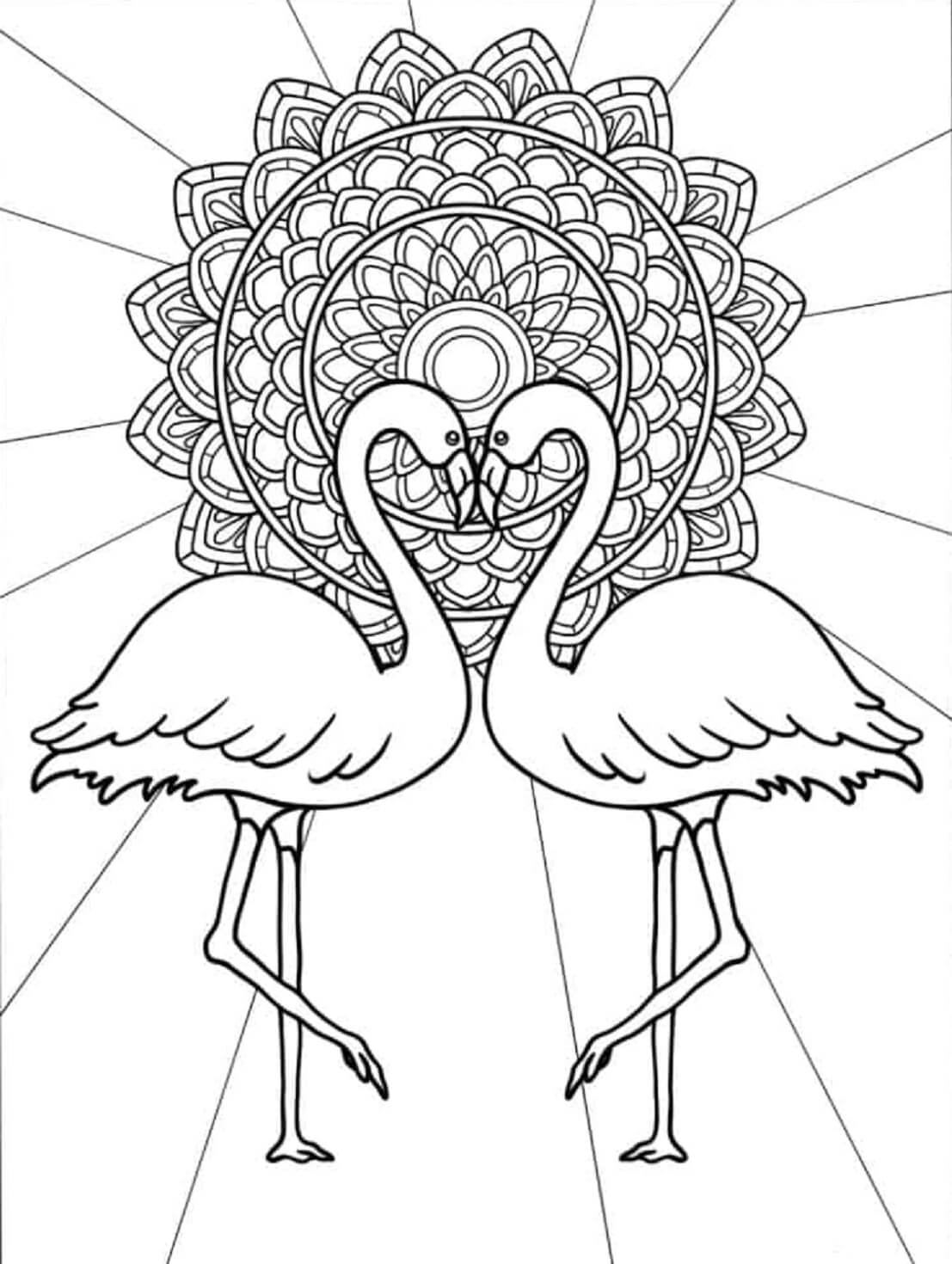 Coloriage Mandala: Deux Flamants roses Mandalas