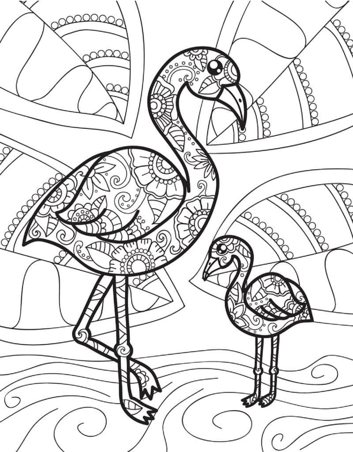 Coloriage Mandala: Mère et bébé flamant rose Mandalas