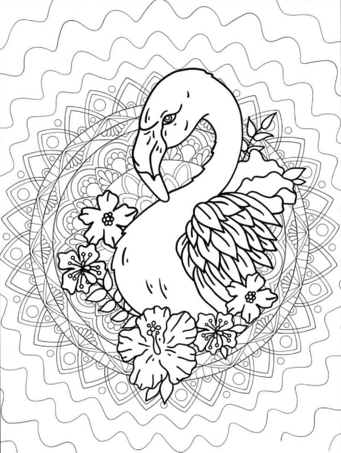 Coloriage Mandala: Tête de Flamant Rose Mandalas