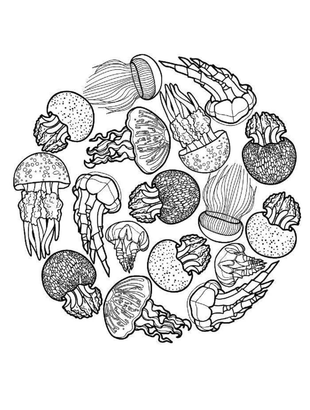 Mandala Jellyfish Coloring Page - Sheet 8 Mandalas