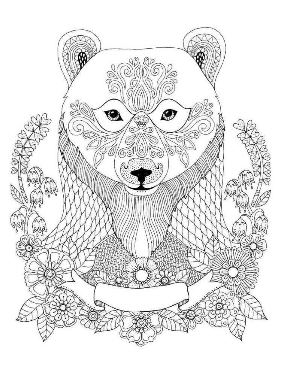 Mandala Portrait Of Bear Coloring Page Mandala