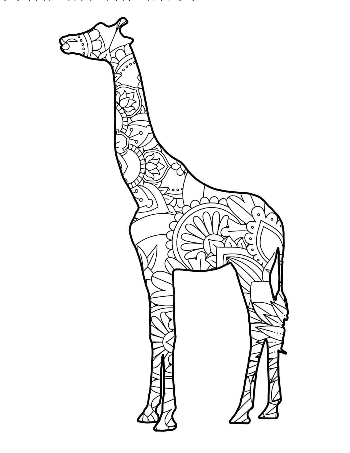 Mandala Giraffe Coloring Page - Sheet 4 Mandalas