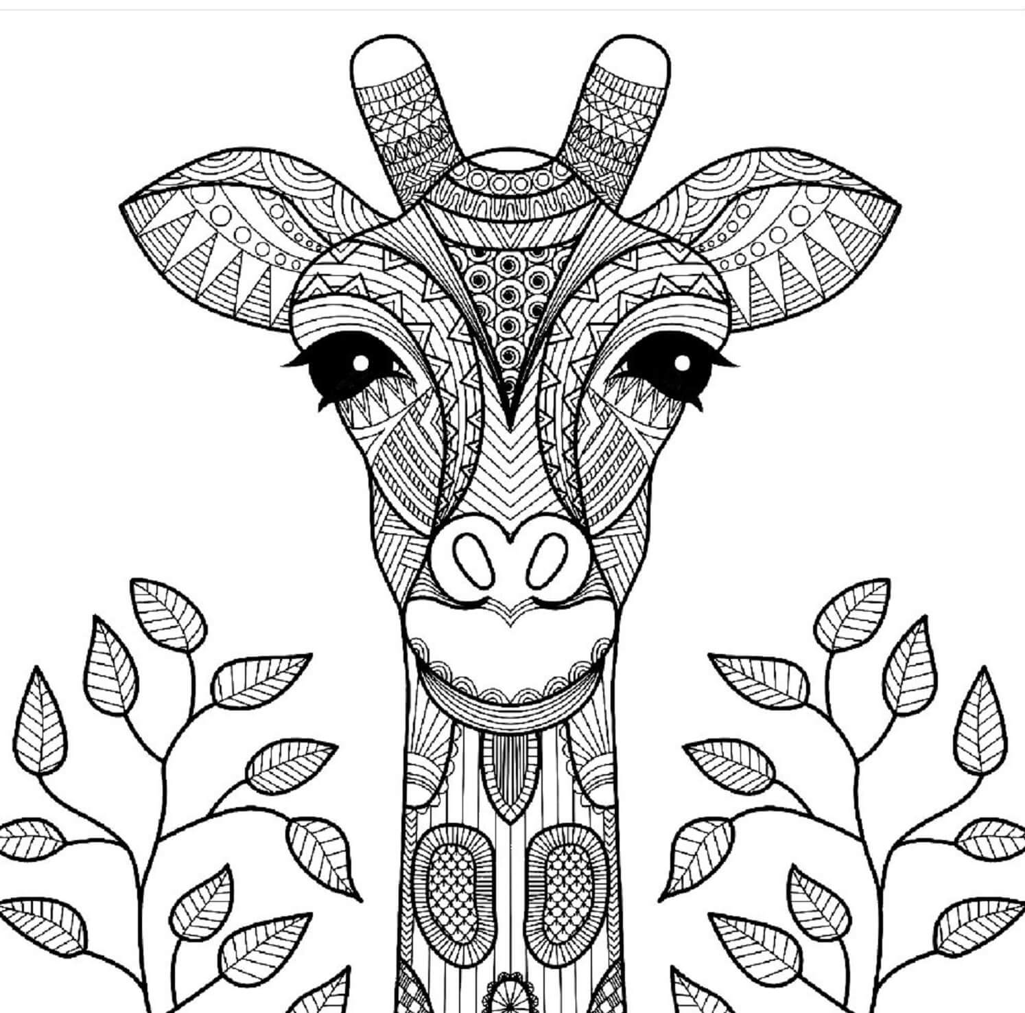 Mandala Portrait of Giraffe With Leaves Coloring Page Mandalas