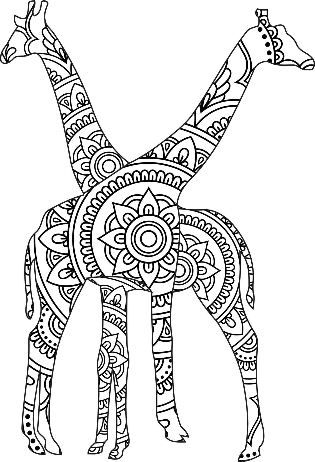 Mandala Two Giraffes Coloring Page Mandalas