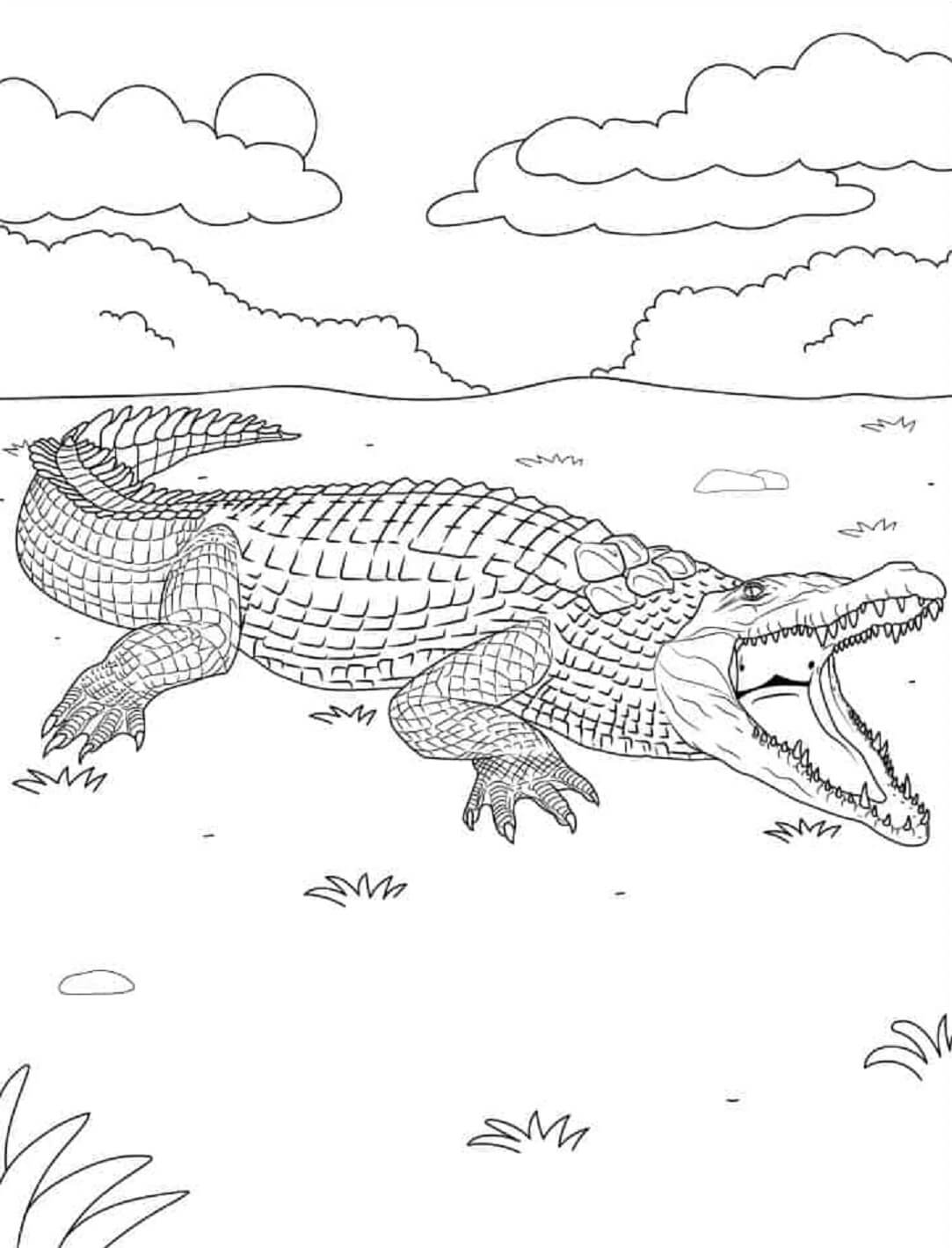 Coloriage Mandala: Crocodile Feuille 3 Mandalas