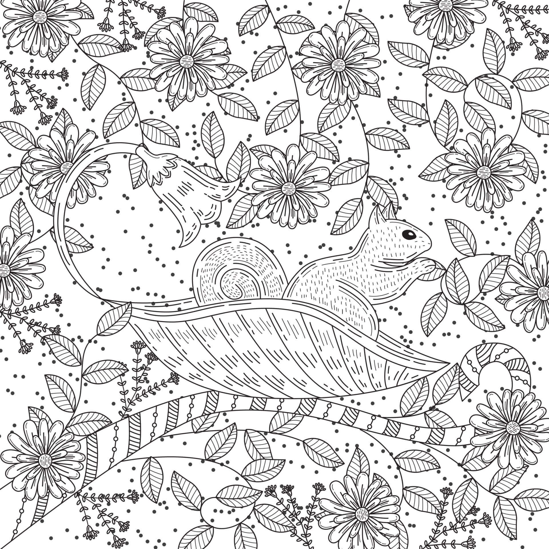 Coloriage Mandala: Écureuil avec des feuilles et des fleurs Mandalas