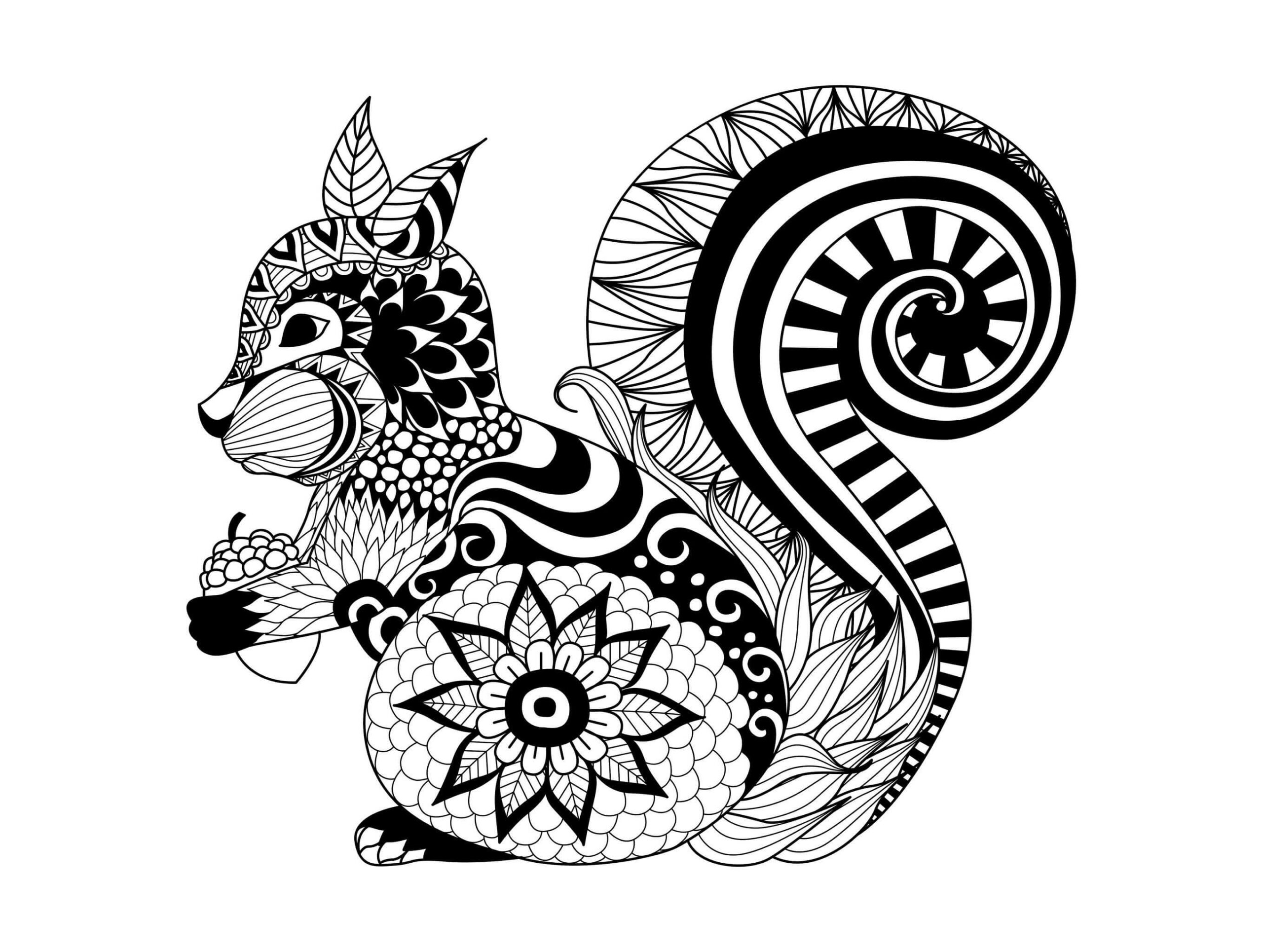 Coloriage Mandala: Écureuil Feuille 4 Mandalas