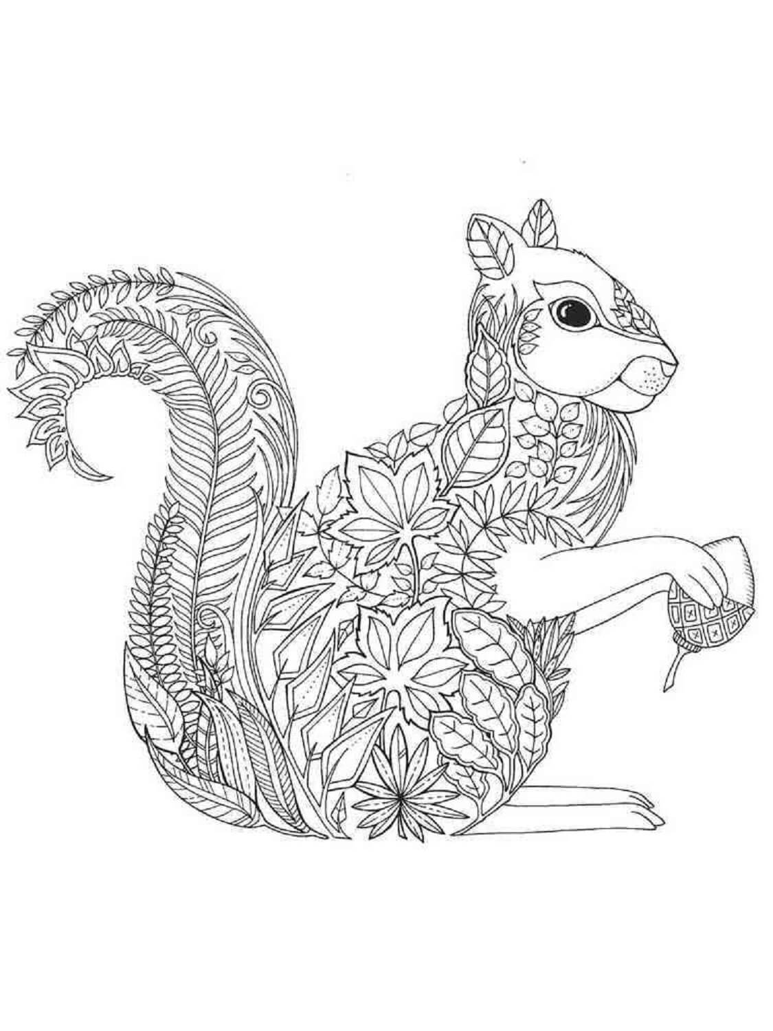 Coloriage Mandala: Écureuil mignon tenant un gland Mandalas