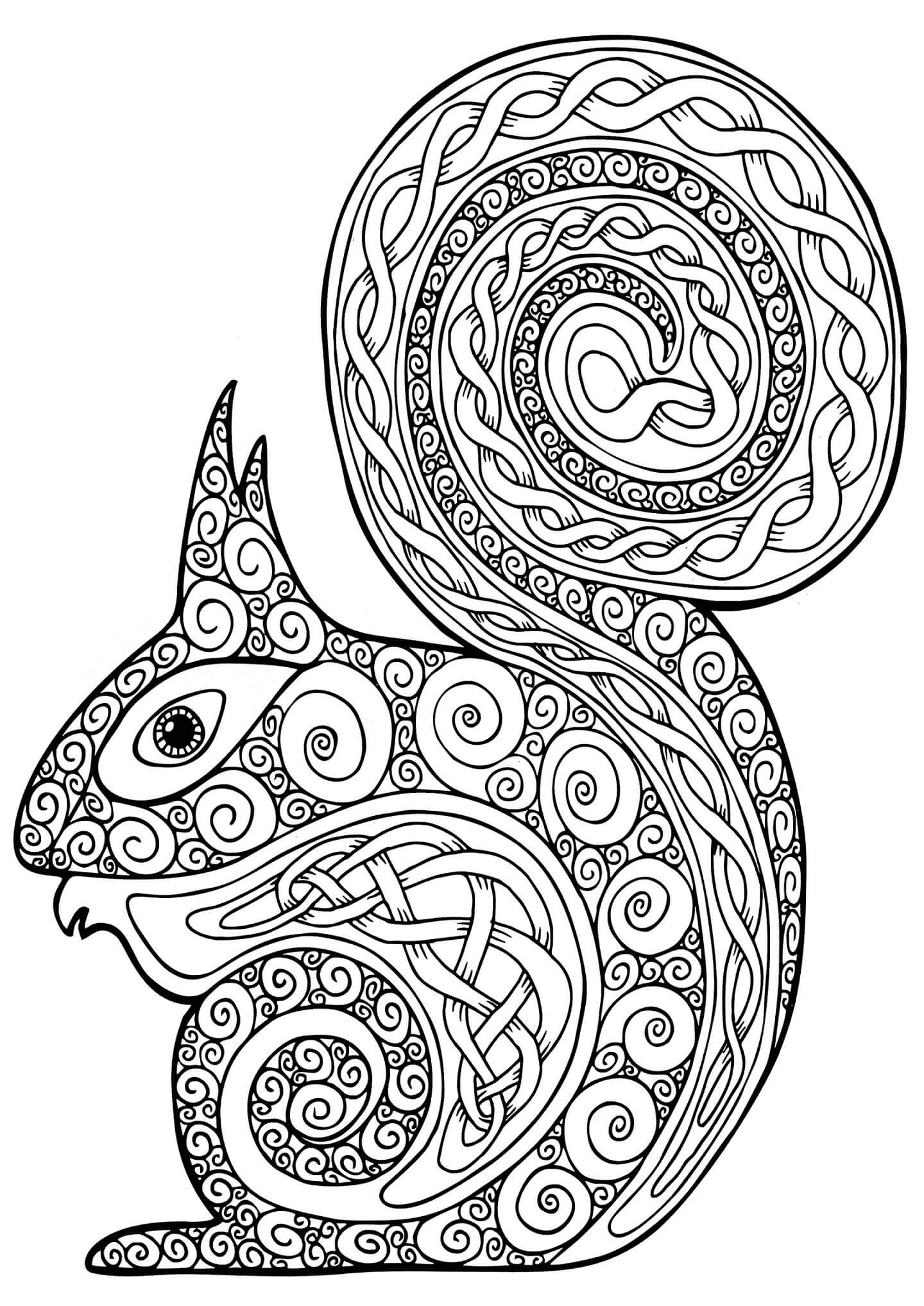 Coloriage Mandala: Écureuil mignon Mandalas