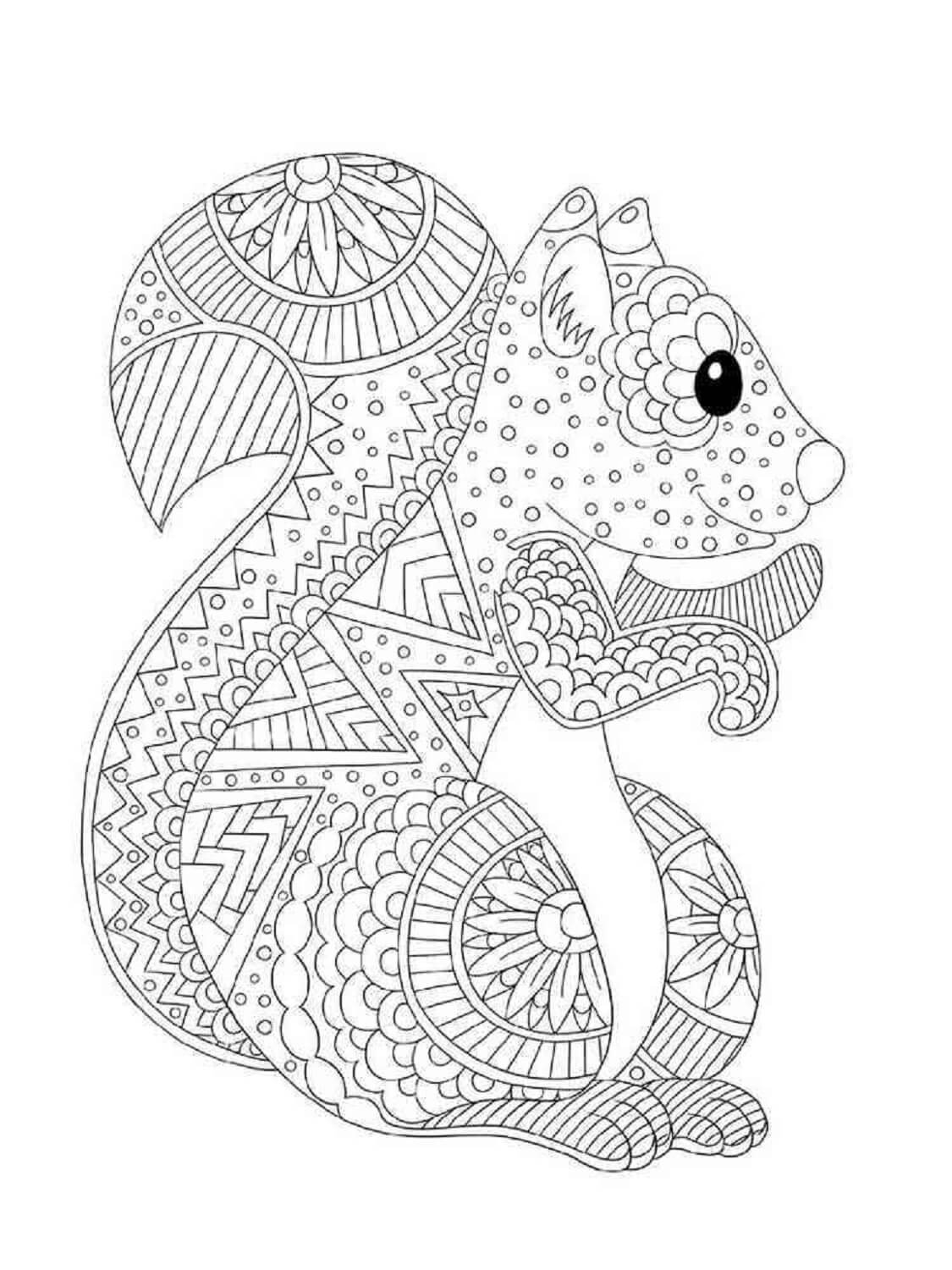 Coloriage Mandala: Écureuil souriant Mandalas
