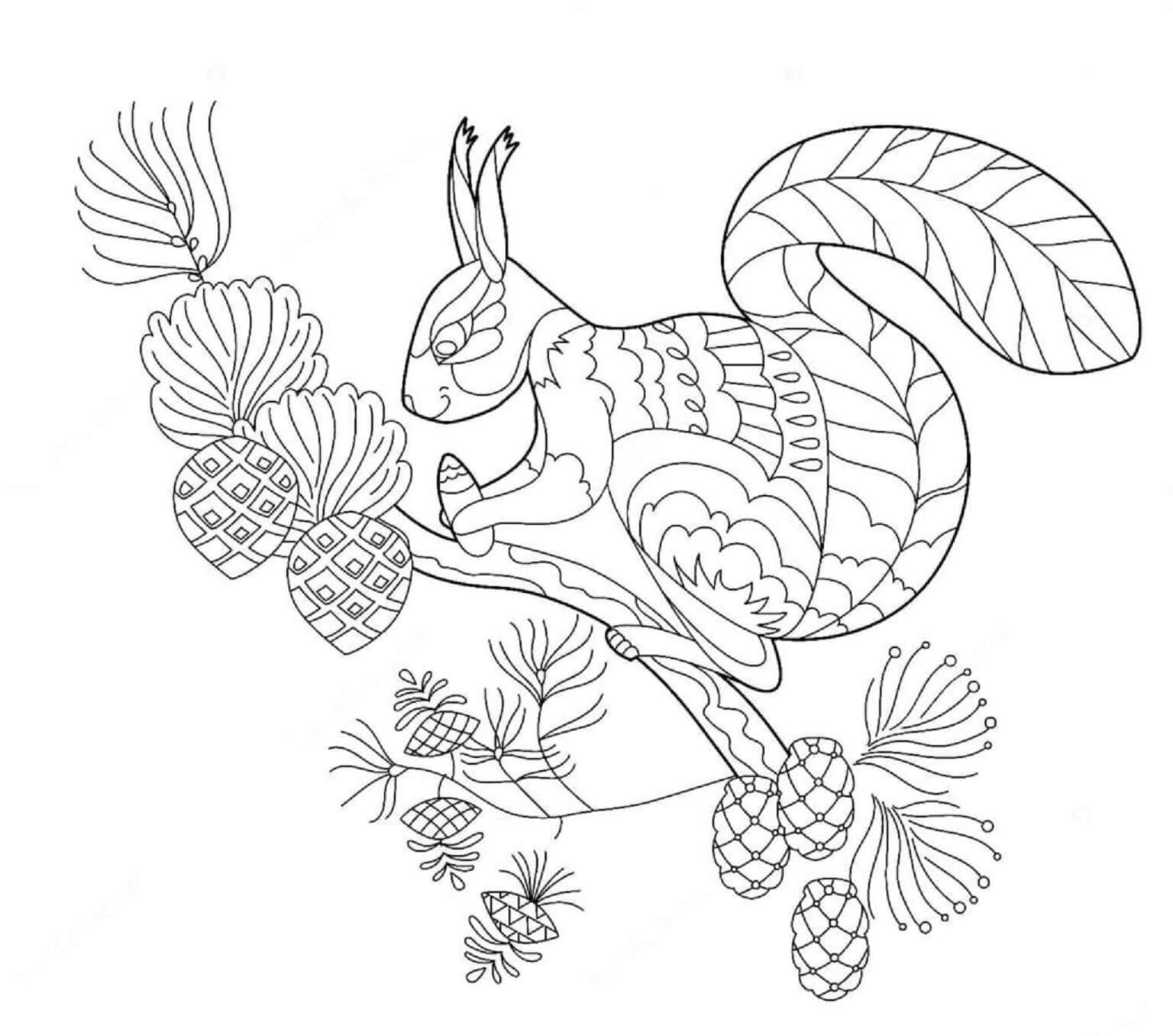 Coloriage Mandala: Écureuil sur une branche d'arbre Mandalas