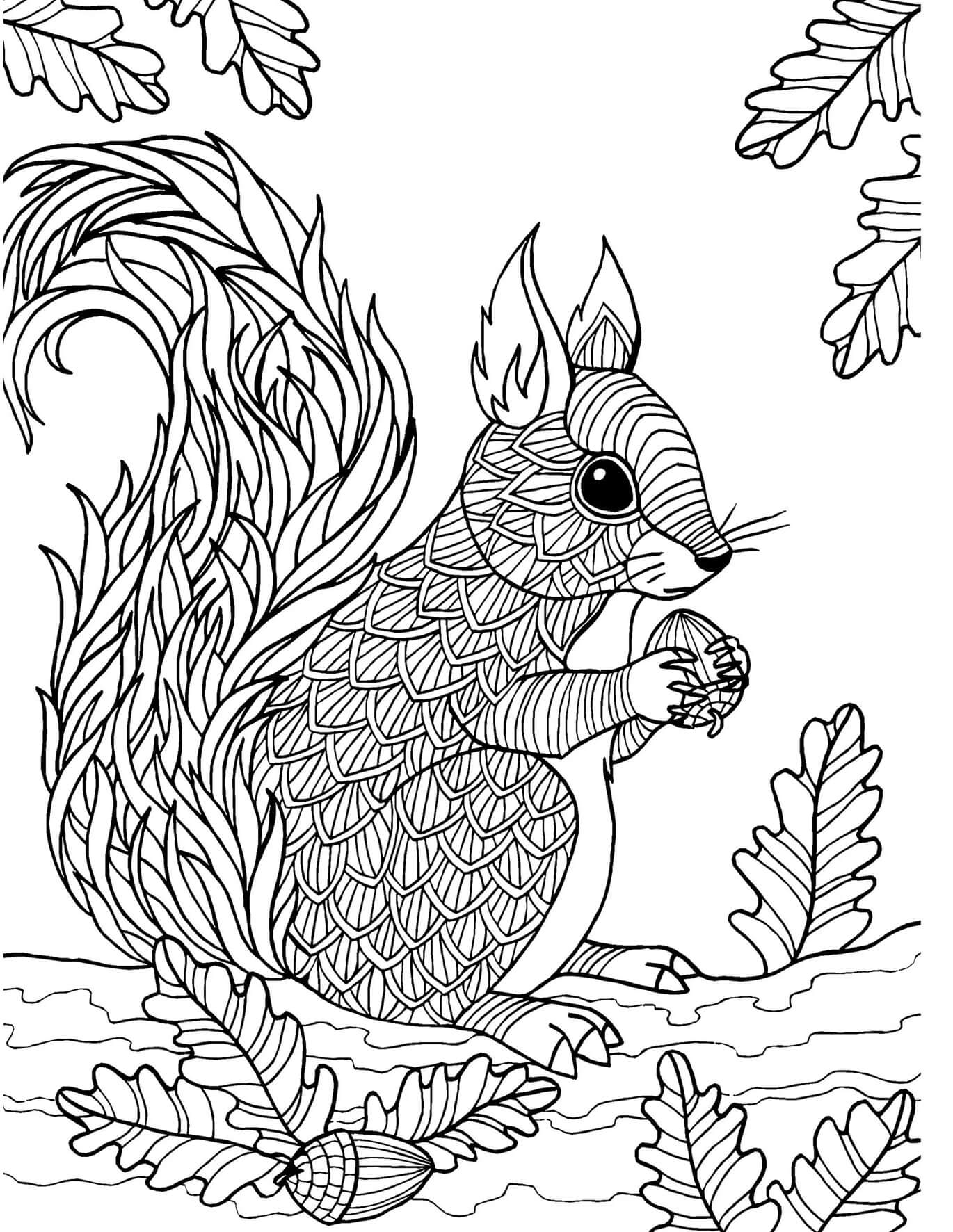 Coloriage Mandala: Écureuil tenant un gland sur une branche d'arbre Mandalas